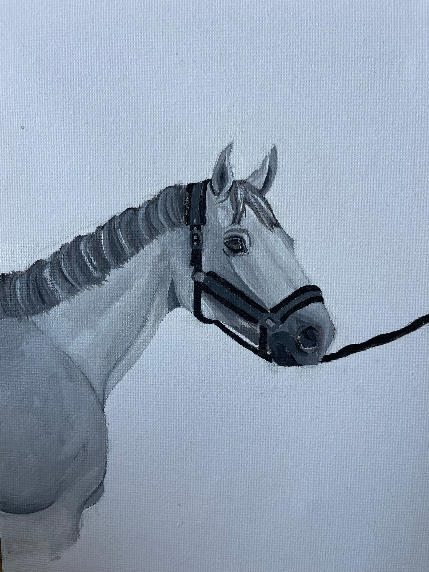 Pintura caballo personalizada