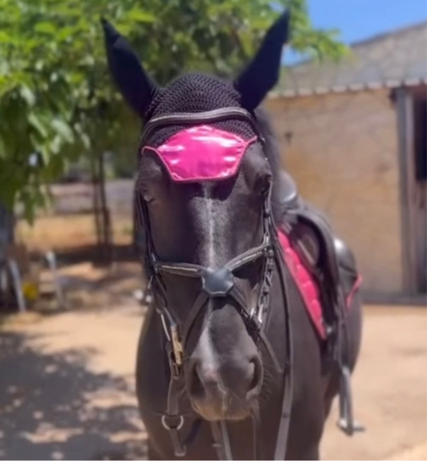 Orejeras personalizadas