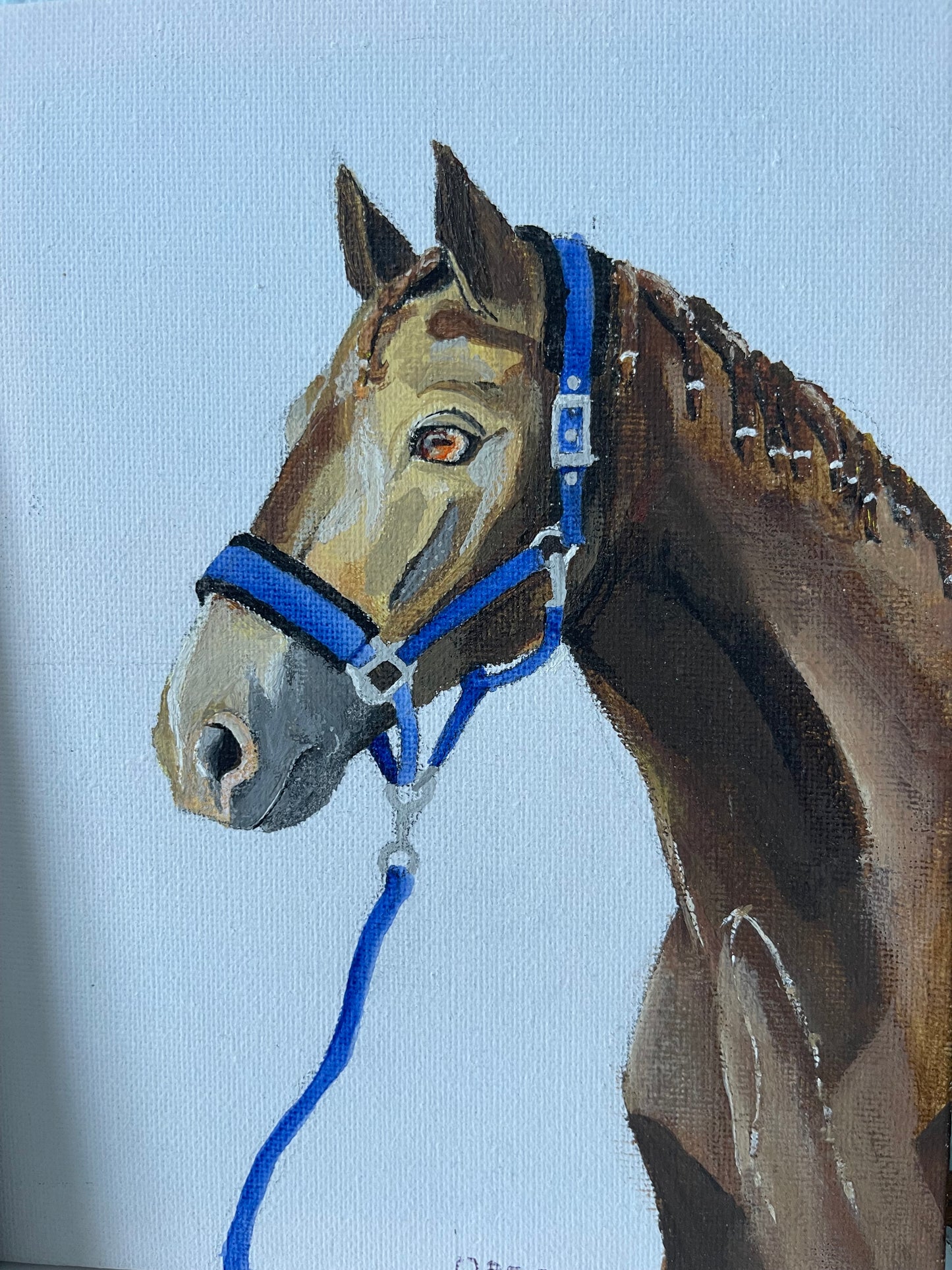 Pintura caballo personalizada