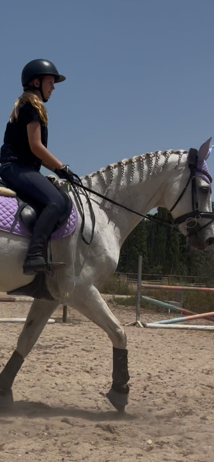 Conjunto lila salto/ uso general FULL